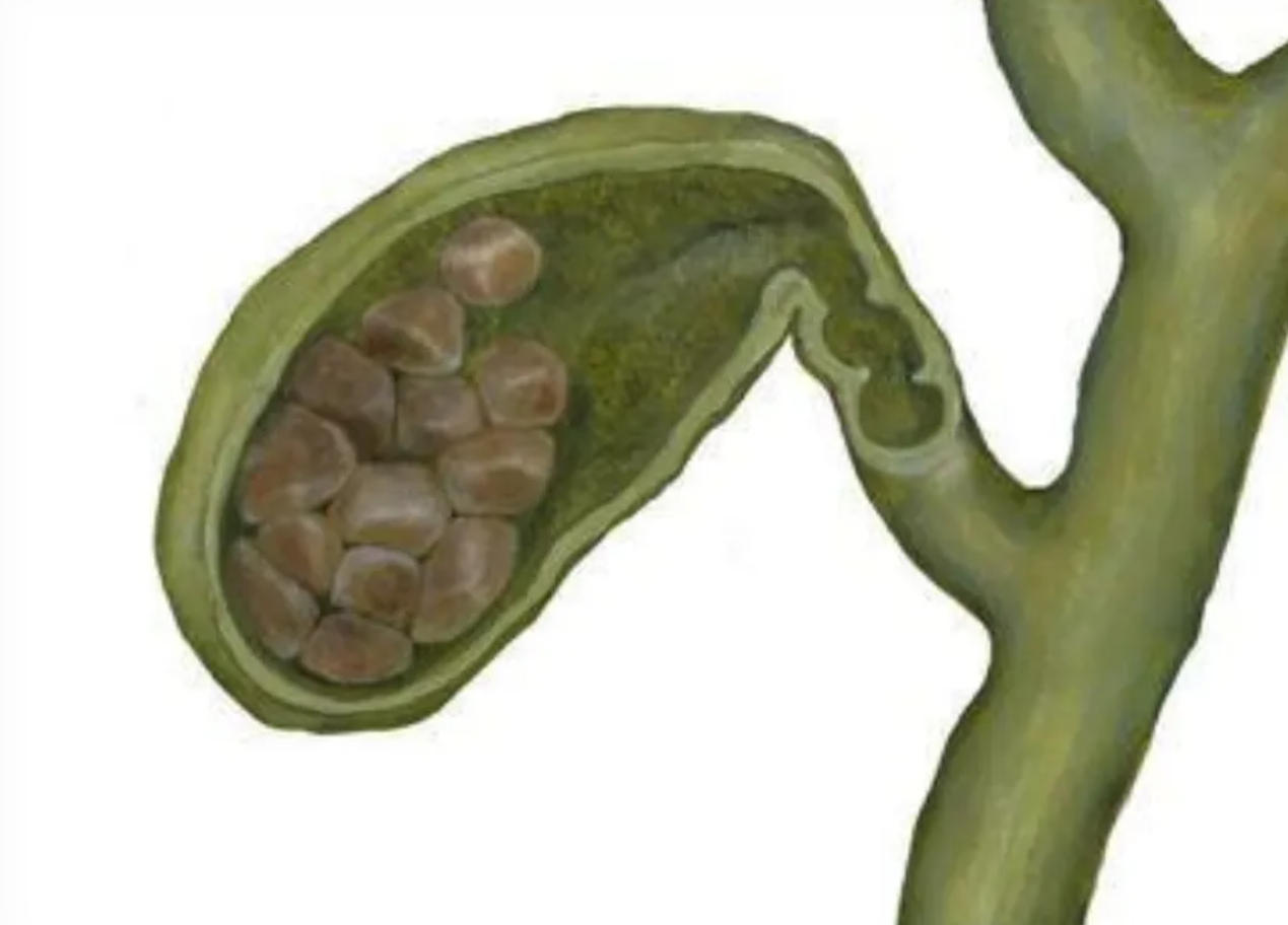 1786514562599689.jpg ScreenShot_2026-08-12_132124_755.jpg